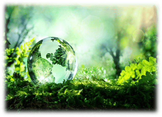 Sustainable Bottle Sealing Wax